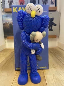 kaws_take_blue.JPG