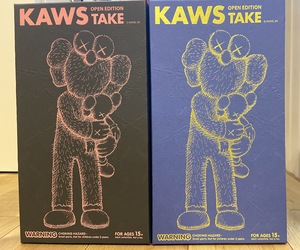 kaws_take_box_.JPG